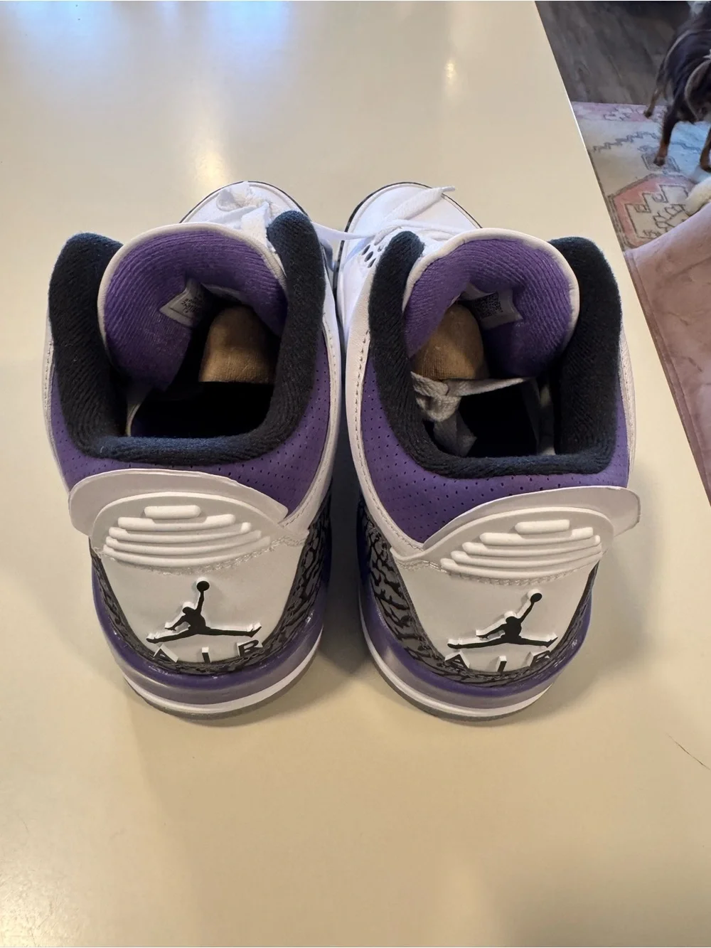 Nike Air Jordan 3 Retro